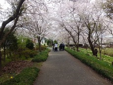 t2014.4.25 1.jpg